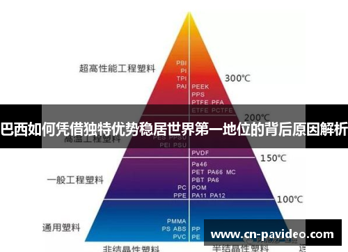 巴西如何凭借独特优势稳居世界第一地位的背后原因解析