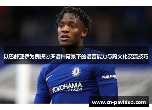 以巴舒亚伊为例探讨多语种背景下的语言能力与跨文化交流技巧