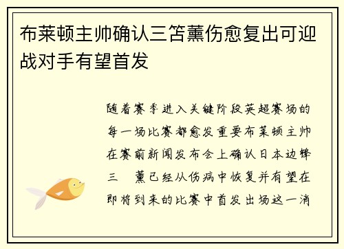 布莱顿主帅确认三笘薰伤愈复出可迎战对手有望首发