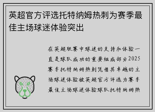 英超官方评选托特纳姆热刺为赛季最佳主场球迷体验突出